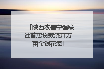 陕西农信宁强联社普惠贷款浇开万亩金银花海